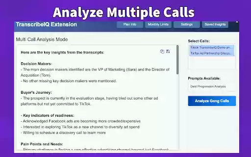TranscribeIQ AI Insights for Transcripts  from Chrome web store to be run with OffiDocs Chromium online