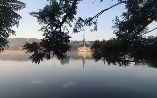 Tree branches by the lake from Chrome web store to be run with OffiDocs Chromium online Tree branches by the lake from Chrome web store to be run with OffiDocs Chromium online