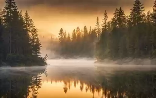 TREES BY THE LAKE THEME  from Chrome web store to be run with OffiDocs Chromium online