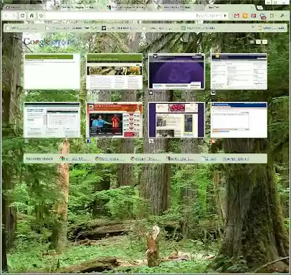 Trees Theme  from Chrome web store to be run with OffiDocs Chromium online