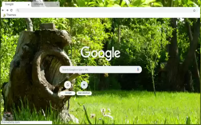 Tree trunk in the garden  from Chrome web store to be run with OffiDocs Chromium online