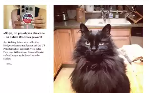 Trump Filter with Dog and Cat Pictures  from Chrome web store to be run with OffiDocs Chromium online
