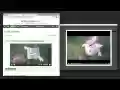 Turbo Download Manager (Classic)  from Chrome web store to be run with OffiDocs Chromium online