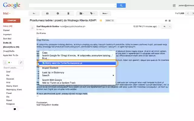 TurboTlumaczenia.pl  from Chrome web store to be run with OffiDocs Chromium online