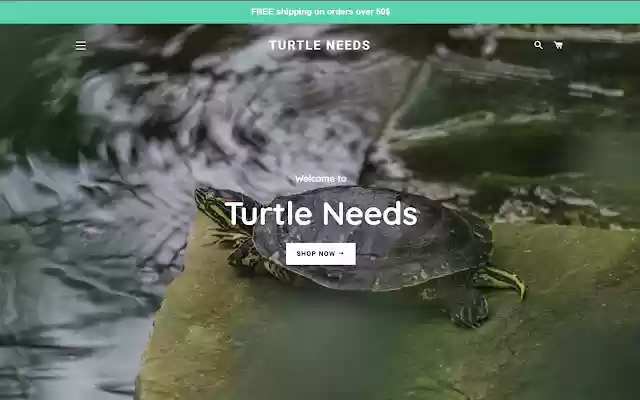 Turtle Needs from Chrome web store to be run with OffiDocs Chromium online Turtle Needs from Chrome web store to be run with OffiDocs Chromium online