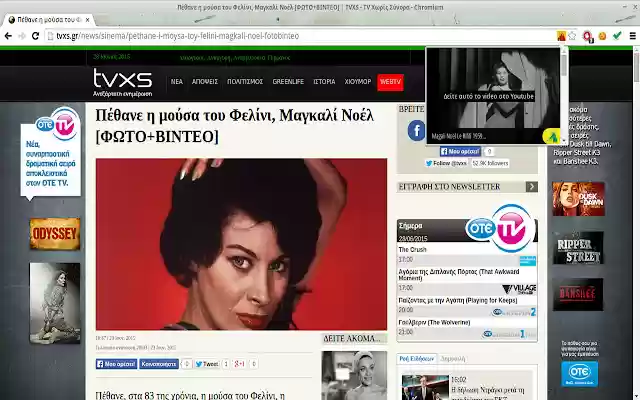 TVXS Video Trooper  from Chrome web store to be run with OffiDocs Chromium online