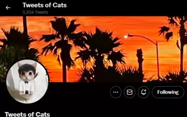 Tweet Verification Radar  from Chrome web store to be run with OffiDocs Chromium online