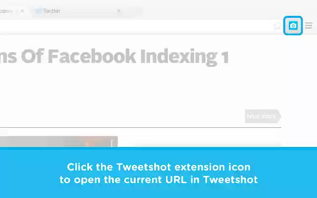 TwitShot for Chrome  from Chrome web store to be run with OffiDocs Chromium online