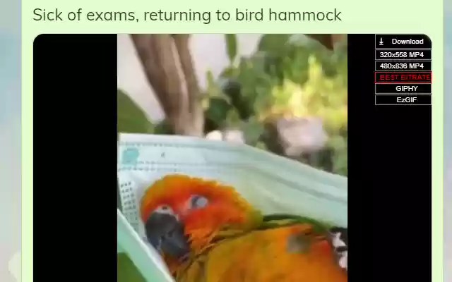 Twitter Gif Video Downloader from Chrome web store to be run with OffiDocs Chromium online Twitter Gif Video Downloader from Chrome web store to be run with OffiDocs Chromium online