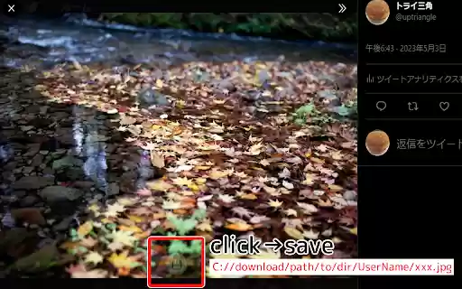 Twitter SaveToDir  from Chrome web store to be run with OffiDocs Chromium online