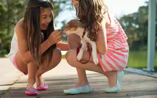 Two girls holding dogs  from Chrome web store to be run with OffiDocs Chromium online