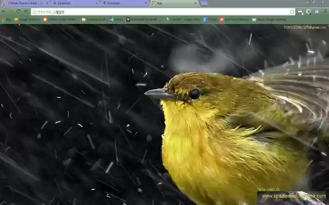 UCCELLINO BAGNATO  from Chrome web store to be run with OffiDocs Chromium online