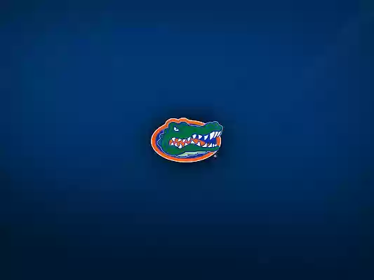 UF Gators  from Chrome web store to be run with OffiDocs Chromium online