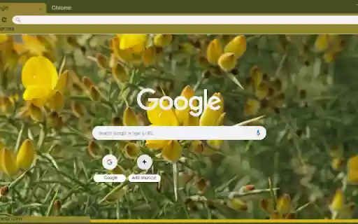 Ulex  from Chrome web store to be run with OffiDocs Chromium online