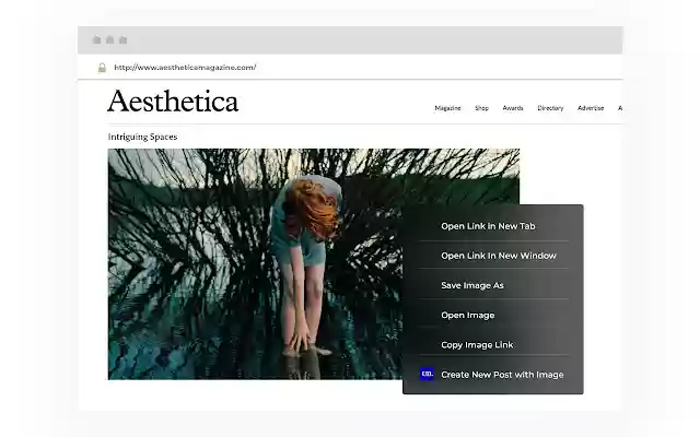 UnitedDialogue.  from Chrome web store to be run with OffiDocs Chromium online