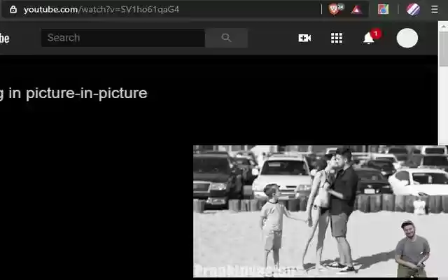 Universal Picture in Picture from Chrome web store to be run with OffiDocs Chromium online Universal Picture in Picture from Chrome web store to be run with OffiDocs Chromium online