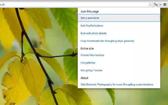 Unofficial SmugMug extension for Chrome  from Chrome web store to be run with OffiDocs Chromium online