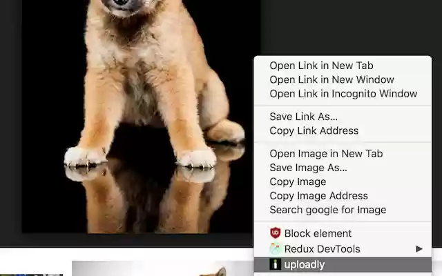 uploadly  from Chrome web store to be run with OffiDocs Chromium online