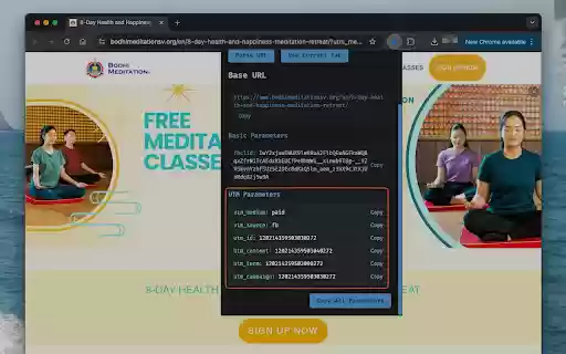 URL Parameter Visualizer  from Chrome web store to be run with OffiDocs Chromium online
