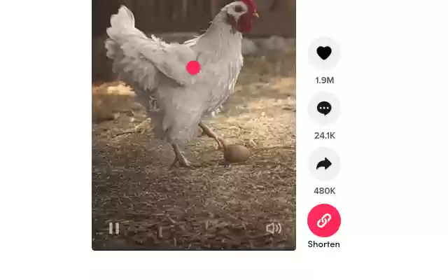 URL Shortener for TikTok from Chrome web store to be run with OffiDocs Chromium online URL Shortener for TikTok from Chrome web store to be run with OffiDocs Chromium online