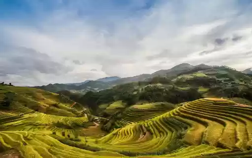 Valleys and terraced fields  from Chrome web store to be run with OffiDocs Chromium online