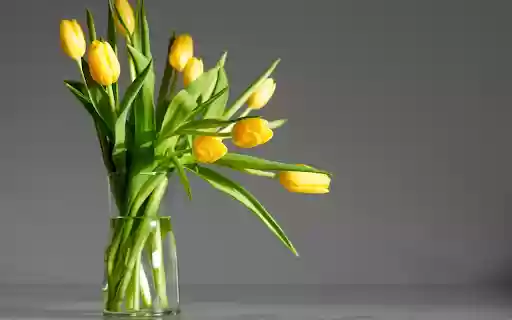 Vase of tulips  from Chrome web store to be run with OffiDocs Chromium online