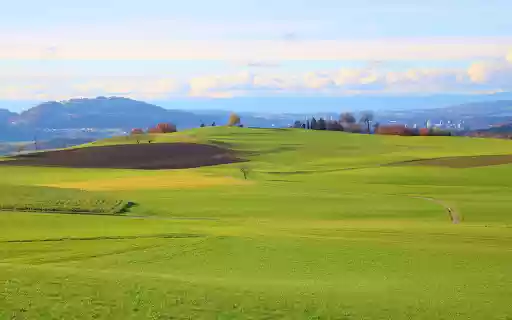 Vast green fields from Chrome web store to be run with OffiDocs Chromium online Vast green fields from Chrome web store to be run with OffiDocs Chromium online