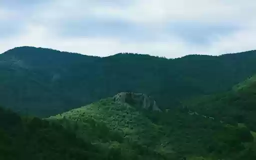 Vast Green Forest  from Chrome web store to be run with OffiDocs Chromium online