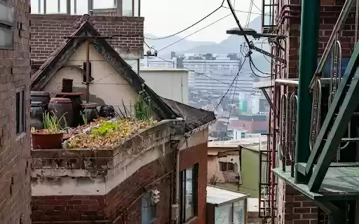 vegetable garden on the roof from Chrome web store to be run with OffiDocs Chromium online vegetable garden on the roof from Chrome web store to be run with OffiDocs Chromium online