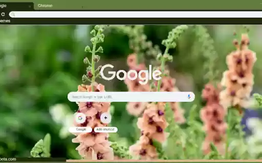 Verbascum from Chrome web store to be run with OffiDocs Chromium online Verbascum from Chrome web store to be run with OffiDocs Chromium online