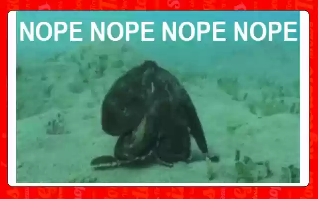 Vice Dog Plus for FinoFilipino from Chrome web store to be run with OffiDocs Chromium online Vice Dog Plus for FinoFilipino from Chrome web store to be run with OffiDocs Chromium online