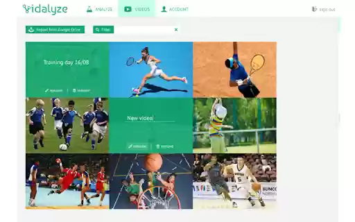 Vidalyze  from Chrome web store to be run with OffiDocs Chromium online