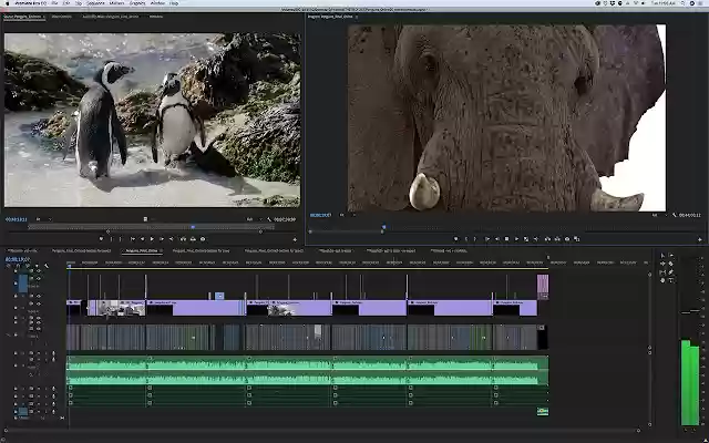 Videocart.com Screen sharing application  from Chrome web store to be run with OffiDocs Chromium online