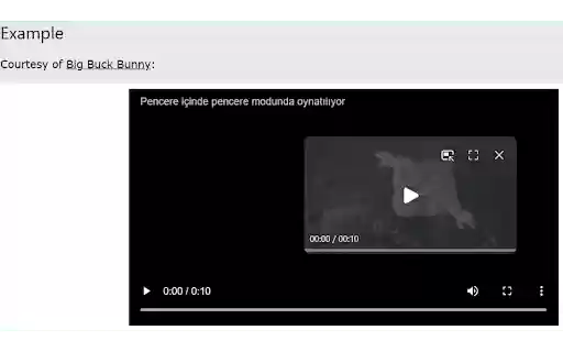 Video PiP Shortcut from Chrome web store to be run with OffiDocs Chromium online Video PiP Shortcut from Chrome web store to be run with OffiDocs Chromium online