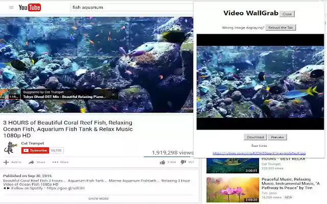 Video Wallgrab  from Chrome web store to be run with OffiDocs Chromium online