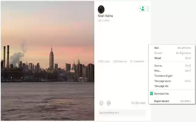Vine Downloader from Chrome web store to be run with OffiDocs Chromium online Vine Downloader from Chrome web store to be run with OffiDocs Chromium online