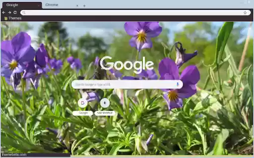Viola Tricolor  from Chrome web store to be run with OffiDocs Chromium online