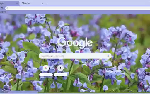 Virginia Bluebells from Chrome web store to be run with OffiDocs Chromium online Virginia Bluebells from Chrome web store to be run with OffiDocs Chromium online