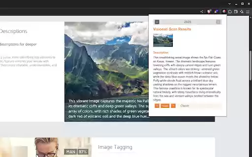 Visionati Image Scanner  from Chrome web store to be run with OffiDocs Chromium online