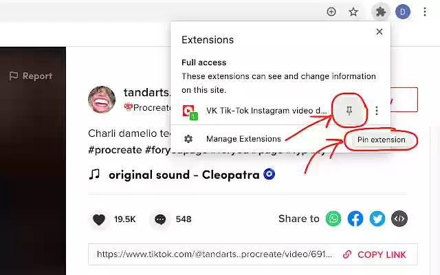 VK Tik Tok Instagram video downloader  from Chrome web store to be run with OffiDocs Chromium online