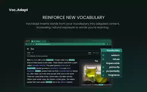 VocAdapt – Language Learning with Simplified Content  from Chrome web store to be run with OffiDocs Chromium online