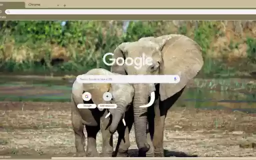 Voi from Chrome web store to be run with OffiDocs Chromium online Voi from Chrome web store to be run with OffiDocs Chromium online