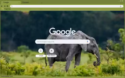 Voi rung from Chrome web store to be run with OffiDocs Chromium online Voi rung from Chrome web store to be run with OffiDocs Chromium online