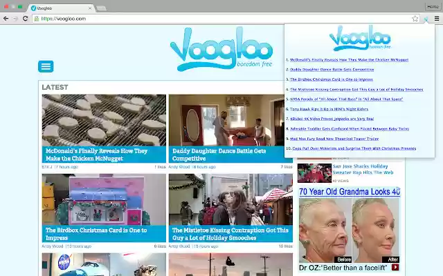 Voogloo  from Chrome web store to be run with OffiDocs Chromium online