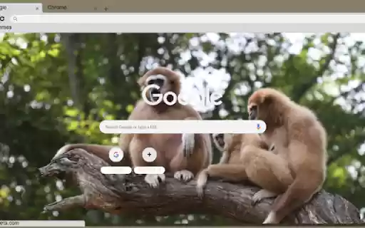 Vuon  from Chrome web store to be run with OffiDocs Chromium online