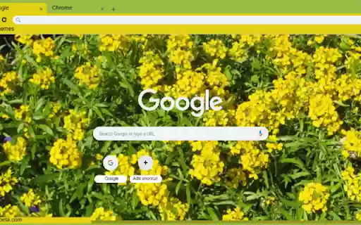 Wallflower Yellow  from Chrome web store to be run with OffiDocs Chromium online