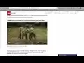 Wanderland  from Chrome web store to be run with OffiDocs Chromium online