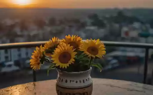 Watch flowers and sunset from Chrome web store to be run with OffiDocs Chromium online Watch flowers and sunset from Chrome web store to be run with OffiDocs Chromium online