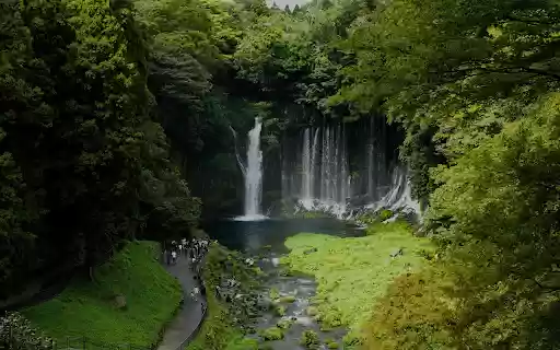 waterfall in the middle of the forest  from Chrome web store to be run with OffiDocs Chromium online