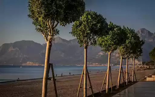 Wave Breakers from Chrome web store to be run with OffiDocs Chromium online Wave Breakers from Chrome web store to be run with OffiDocs Chromium online